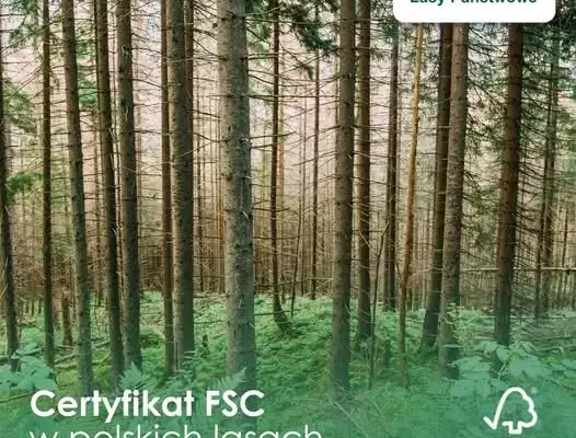 Nadleśnictwo Sulęcin świętuje 25 lat certyfikatu FSC