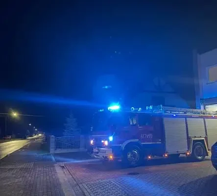 Interwencje strażaków w Sulęcinie: zerwane linki i gniazdo owadów