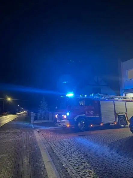 Interwencje strażaków w Sulęcinie: zerwane linki i gniazdo owadów