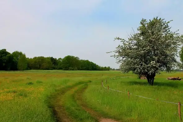 Rozstrzygnięto konkurs fotograficzny „Krzeszyckie pejzaże”
