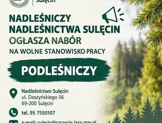 Nadleśnictwo Sulęcin szuka podleśniczego. Trwa nabór do Służby Leśnej