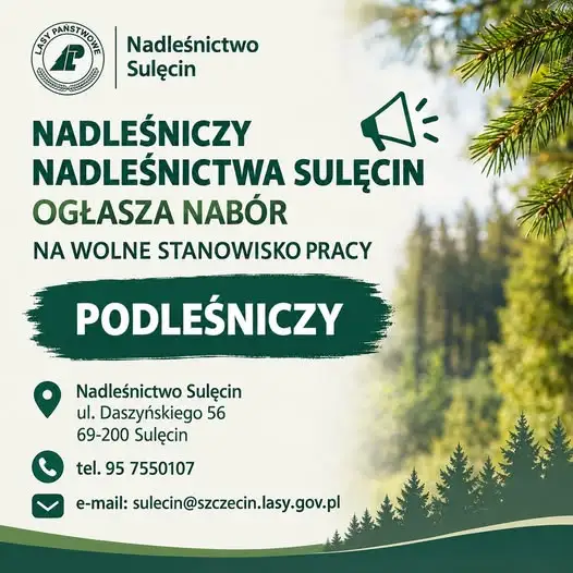 Nadleśnictwo Sulęcin szuka podleśniczego. Trwa nabór do Służby Leśnej