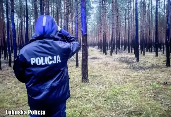 Policja ostrzega: grzybobranie może być niebezpieczne dla seniorów