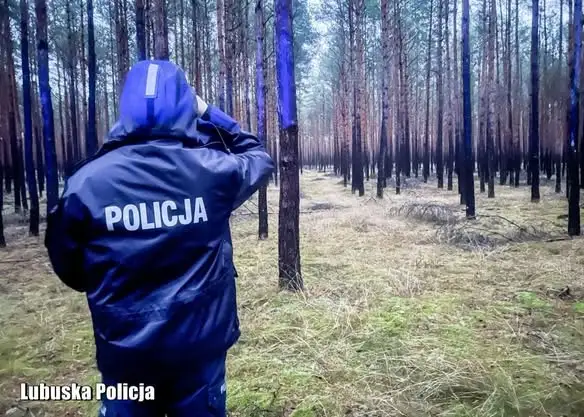 Policja ostrzega: grzybobranie może być niebezpieczne dla seniorów