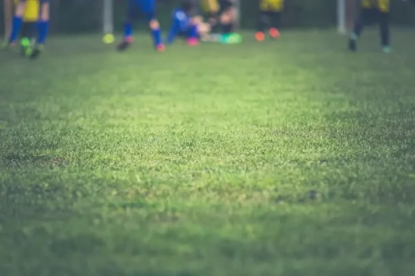Remis w meczu młodzika: GKS Torzym – UKS Perła Cybinka 2:2